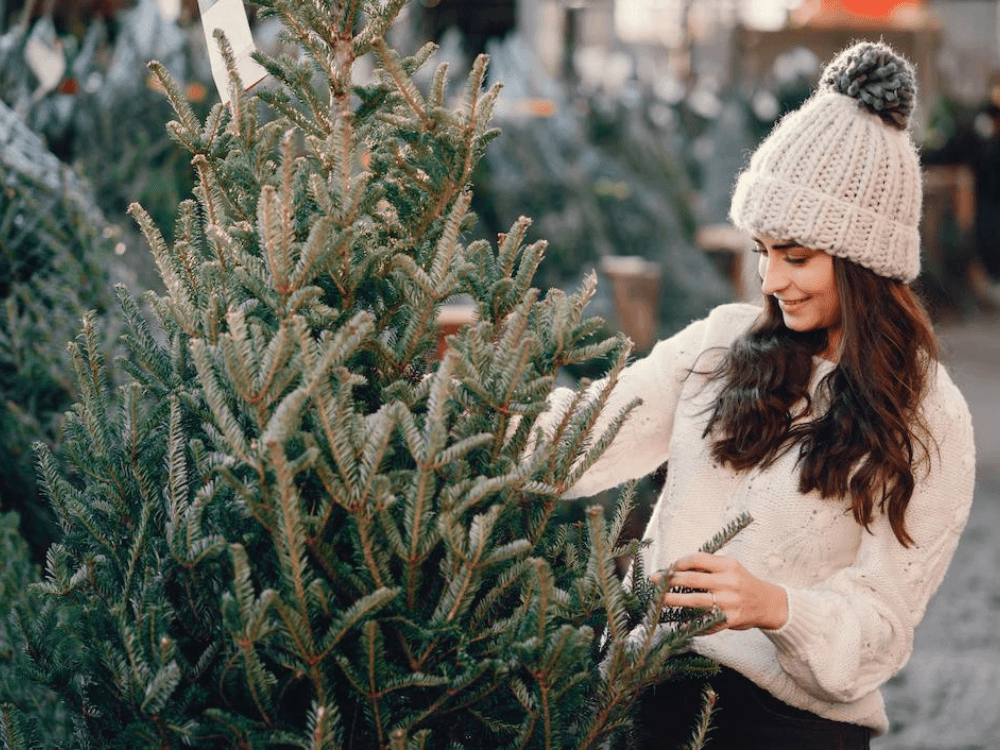 How to do a Christmas brand photography photoshoot