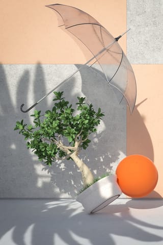 The Situations Project