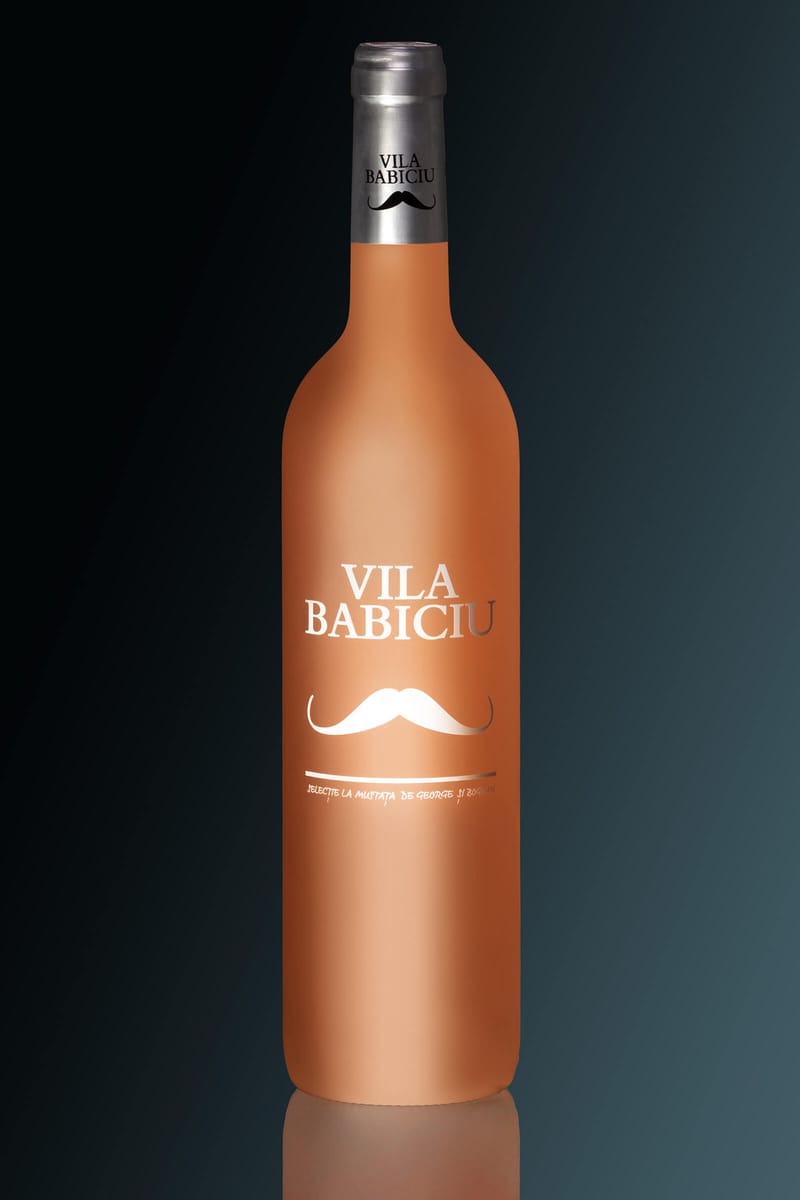 Vila Babiciu Wine Project