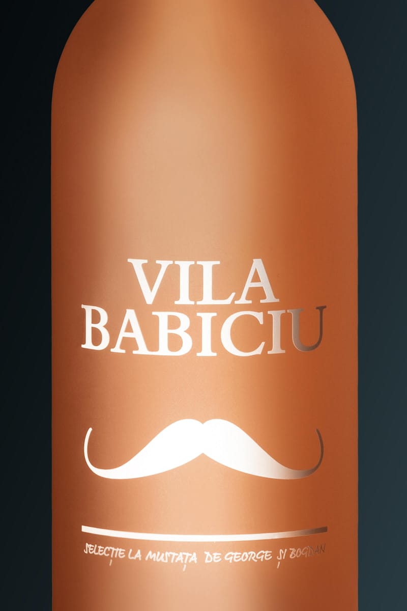 Vila Babiciu Wine Project
